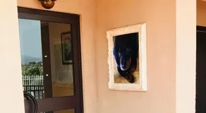 House Bassotto - Image 2