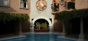 Suites Paraiso TX - Image 3