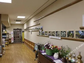 Yamanamiso - Image 3