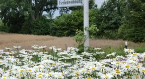 Ferienwohnung Am Sophienberg - Image 3