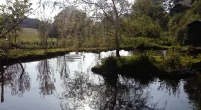 Willowtree Cottage - Image 5