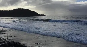 ‘Rose Cottage’ sisters beach accommodation - Image 3