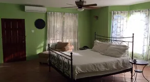 Pura Vida Jamaica - Image 2