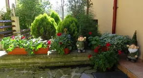 Alpin Residence - Image 3