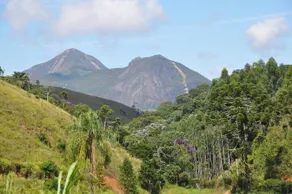 Fazenda das Pitangas - Image 5