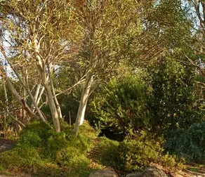 The Linden Bed And Breakfast - Image 5