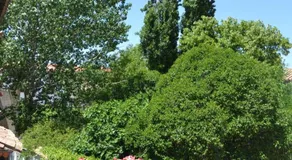 Casa Rural El Pozuelo - Image 5