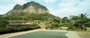 Seasketch Pension Jeju - Image 5