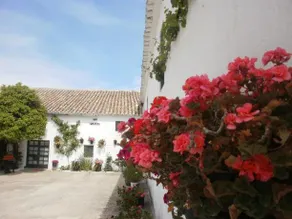 Casa Rural Cortijo El Pinar - Image 2