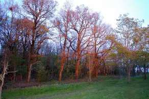 Ranch De Boujac - Image 4