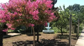 Angelos House - Image 3