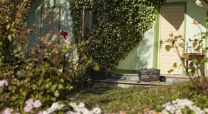Vineyard Cottage Gole - Image 4