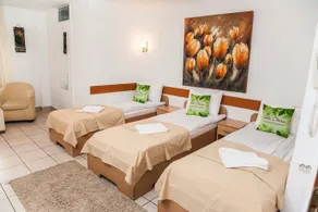 Pensiunea Vila Chesa - Image 4