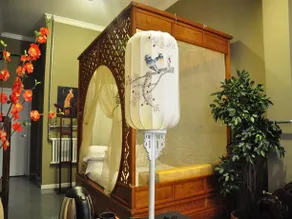 China Element Apartment - Image 3