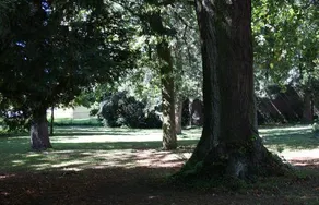 La Reverie - Image 3