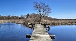 Montello Studio Cottage w/ Pier & Dock on Ox Creek - Image 4