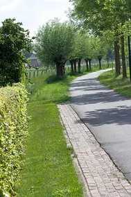 Logerenbijonsz - Image 2