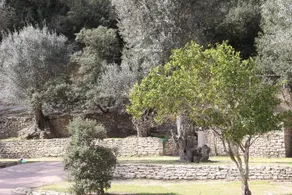 Résidence L'araguina - Image 3