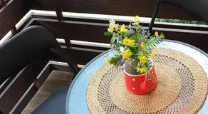 Apartmani Starovla - Image 5