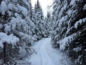 Chalet Nature Laurentides - Image 5