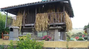 La Llosa - Image 4