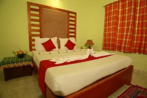 El - Paradiso Home Stay - Image 3
