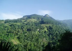 Windy Rich Bungalow Belihuloya - Image 4