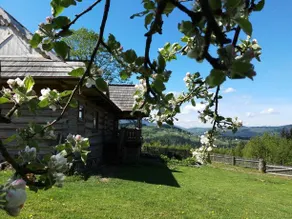Przytulia - Image 2