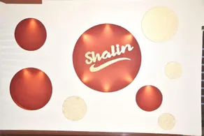 Hotel Shalin - Image 4