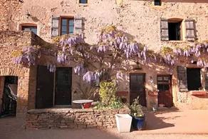 Domaine De La Saule - Image 4