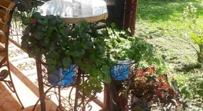 Guest House Danelia - Image 4