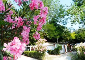 Costa Verde Camping Village - Image 4