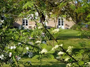 Schoon Goed - Image 2