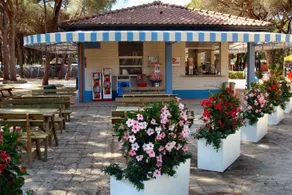 Camping La Principina - Image 5