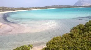 Il Gelsomino - Image 4