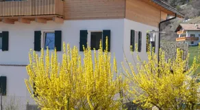 Ferienwohnung Anna - Image 4