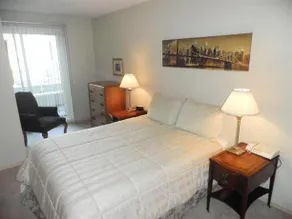 AMSI North Waterfront Junior One-Bedroom Condo AMSI-SF NWPT2521 - Image 2