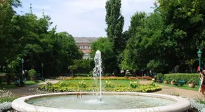Budapest Standard Silver - Image 5