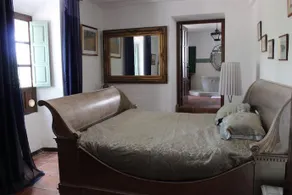 The White Olive - Image 4