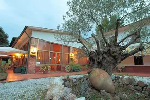 Hotel Giuly - Image 4