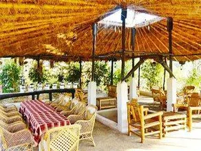 Hotel Kanha (Treasure In Forest) - Image 3