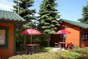Filarówka - Image 2