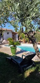 Cocon Provencal - Image 2