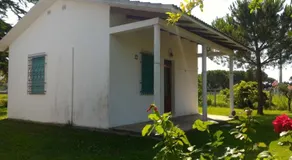 Bungalow bei Emma - Image 4
