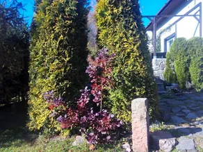 Chatka Lechutka - Image 3