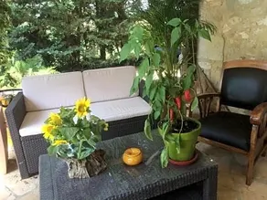 La Damiche - Image 3