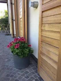 Nel Verde - Image 3