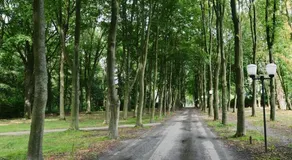 De Kerselaar Houthalen-Helchteren - Image 4