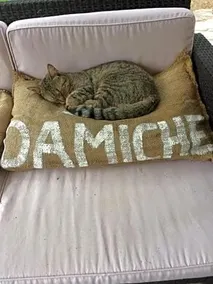 La Damiche - Image 2