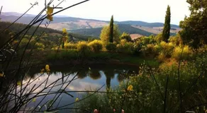 Podere Cerreto - Image 5
